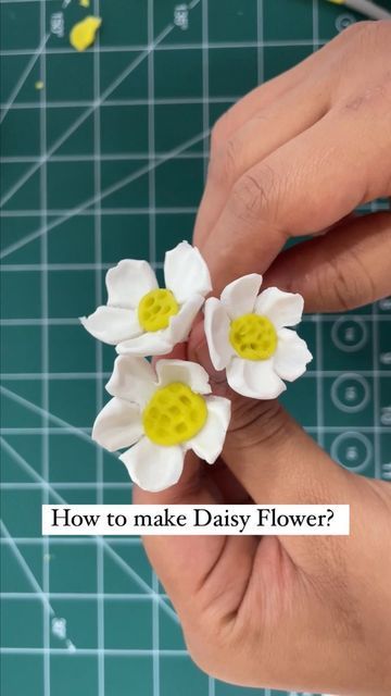 Navya Garg | Delhi Cake Artist on Instagram: "Let’s make a Daisy Flowers 🌸 using two simple tools 🤩 * * Follow @thesweetdoor2000 for more ✨ * * #thesweetdoor #cakenestin #fondantcake #fondantcakes #fondantart #fondantdecoration #cakereels #viralreels #trendingreels #daisy #flowers" Cake Artist, Fondant Decorations, Daisy Flowers, Fondant Cake, Fondant Cakes, Artist On Instagram, May 20, Daisy Flower, Fondant