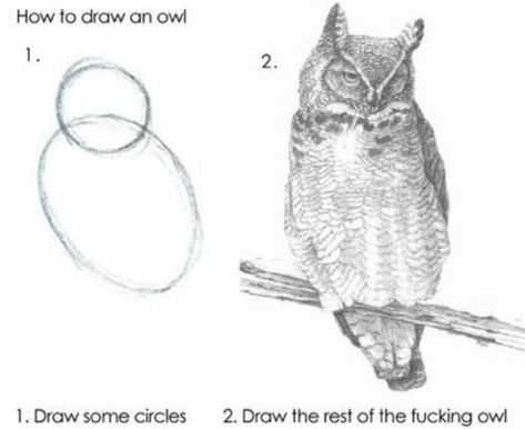 From their long legs to their huge eyes, these nighttime birds of prey make for some pretty funny owl memes, so here are our favorites. #owlmemes #owls Owl Meme, Dog With A Blog, Digital Painting Techniques, Funny Paintings, Art Jokes, Kemono Friends, Owls Drawing, Gesture Drawing, Painting Videos