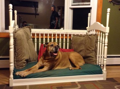 Dog bed made out of a crib Crib Turned Into Dog Bed, Baby Crib Dog Bed, Crib Dog Bed, Dogs Bedroom, Crib Mattress Dog Bed, Old Baby Cribs, Dog Beds Homemade, Animal Furniture, Dog Bed Frame