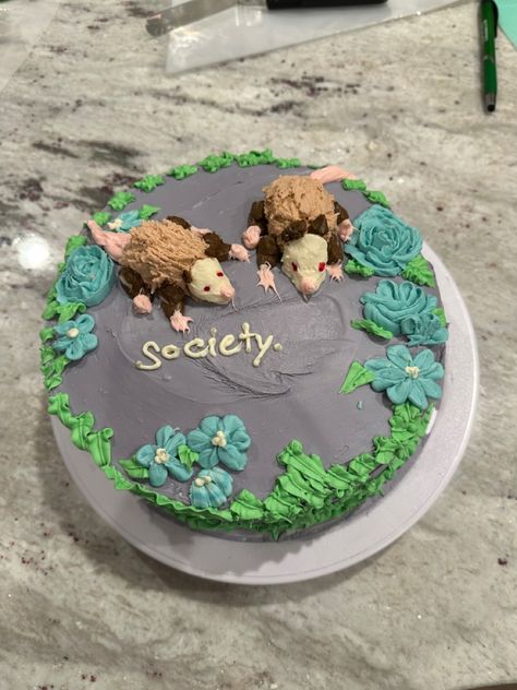 Silly Food Ideas, Cool Cake Ideas Birthdays, Opossum Cake, Opossum Birthday Party, Ugly Cakes Funny, Weird Birthday Cakes, Possum Birthday Cake, Silly Cake Ideas, Possum Cake