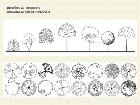 Architectural Trees, Architecture Symbols, Architectural Plants, Family Tree Tattoo, Landscape Architecture Drawing, Tree Plan, Interior Architecture Drawing, Tree Textures, Tree Sketches