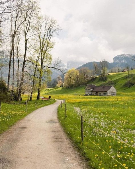 Country Landscape Photography, Rural Photography, Magical Landscape, Country View, England Countryside, Road Photography, Iceland Waterfalls, Scenery Photography, Countryside Landscape