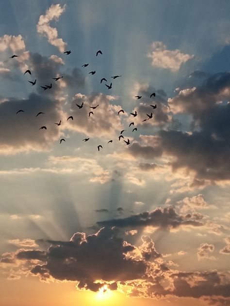 Nature Snap, Blue Sky Photography, Moonlight Photography, Birds In The Sky, Sky Photography Nature, Pretty Skies, Aesthetic Sky, Shadow Photos, Sky Pictures