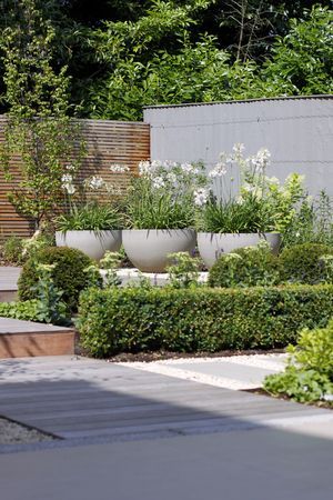 Classic Garden Design, Garden Design London, Contemporary Garden Design, Container Garden Design, Coastal Gardens, Modern Garden Design, Classic Garden, Contemporary Garden, Mediterranean Garden