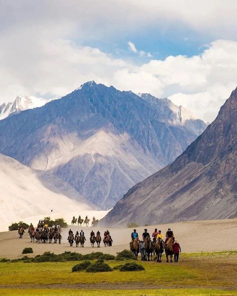 Nubra Valley: The great sand dunes of Ladakh is marked by Bactrian camel ride which are double humped. The valley lies on the bed of the Shyok river. It sweeps our heart with a picturesque landscape. Nubra Valley Ladakh, Artificial Brain, Nubra Valley, Bactrian Camel, Picturesque Landscape, Ladakh India, Rajasthani Art, Great Sand Dunes, Leh Ladakh