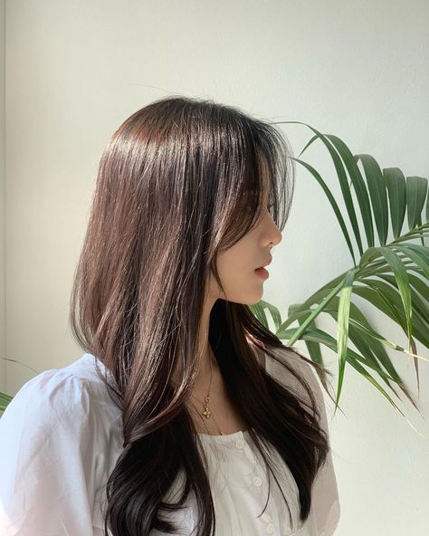 Asian Long Hair, Asian Haircut, Layered Haircuts For Medium Hair, Bangs With Medium Hair, Haircuts For Medium Hair, Haircuts Straight Hair, Long Hair With Bangs, Hair Images, Haircuts For Long Hair