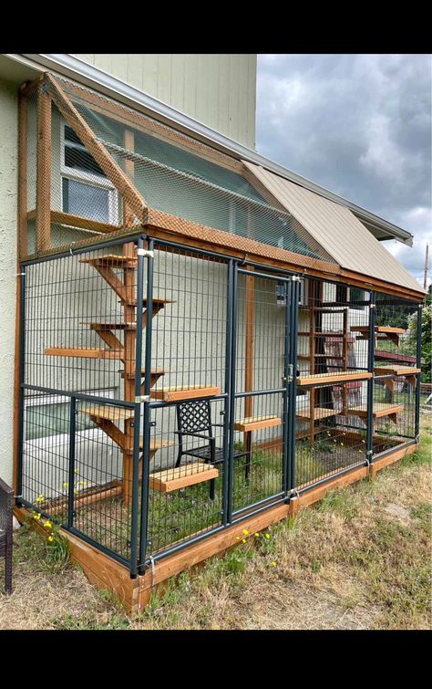 Hotel For Cats, Raccoon Enclosure Ideas, Cat Cages Outdoor, Outdoor Pet Enclosure, Cat Bedroom, Cat Fence, Cat Patio, Cat Hotel, Outdoor Cat Enclosure