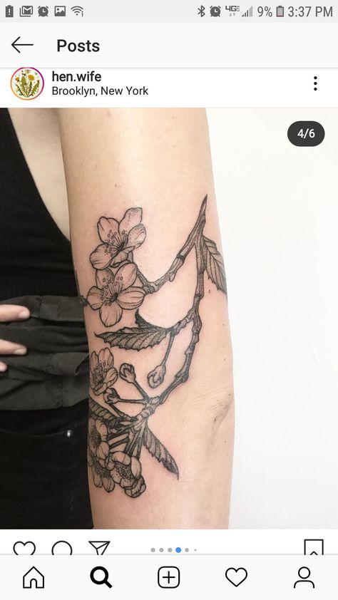 Crab Apple Blossom Tattoo, Crab Apple Tree Tattoo, Crab Apple Tattoo, Apple Branch Tattoo, Blackthorn Tree, Apple Blossom Tattoos, Crab Apple Tree, Apple Tree Flowers, Tree Branch Tattoo