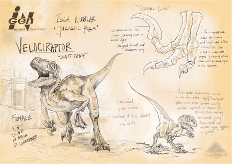 Jurassic Movies, Jurassic Park Poster, Jurassic Park Series, Dinosaur Sketch, Jurassic Park 1993, Jurassic Park Movie, Jurrasic Park, Dinosaur Posters, Jurassic World Fallen Kingdom