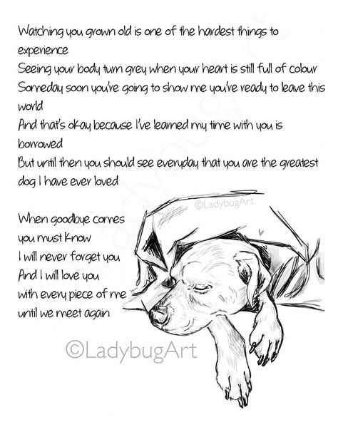 Old Dog Quotes, Losing A Pet Quotes, Miss My Dog, Dog Poems, Mother Poems, Dog Quotes Love, Old Dog, Bug Art, Boxer Love