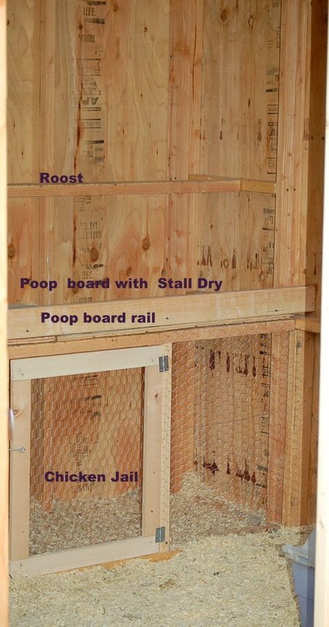 Perches extend full length of coop? | Page 2 | BackYard Chickens - Learn How to Raise Chickens Chicken Roost, Chicken Coop Run, Backyard Chicken Farming, Coop Design, Raising Backyard Chickens, Chicken Coop Designs, Chicken Coop Ideas, Chicken Run, Building A Chicken Coop