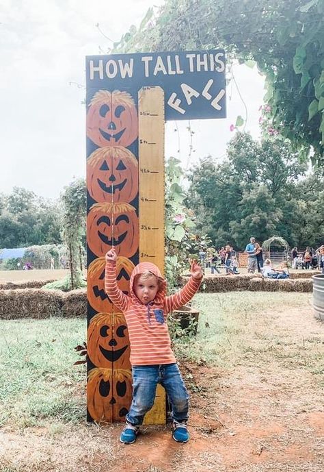 Fall Harvest Party Activities, Town Fall Festival Ideas, Pumpkin Patch At School, Pumpkin Patch Cutouts, Fall Festival Food Ideas To Sell, Small Pumpkin Patch Ideas, Haunted Corn Maze Ideas, Pumpkin Walk Ideas, Fall Farm Festival