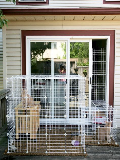 16 DIY projects purrfect for cat lovers: Cat hammock Diy Cat Enclosure, Cat Fence, Cats Outside, Cat Patio, Hate Cats, Outdoor Cat Enclosure, Cat Run, Cats Diy Projects, Cat Cages