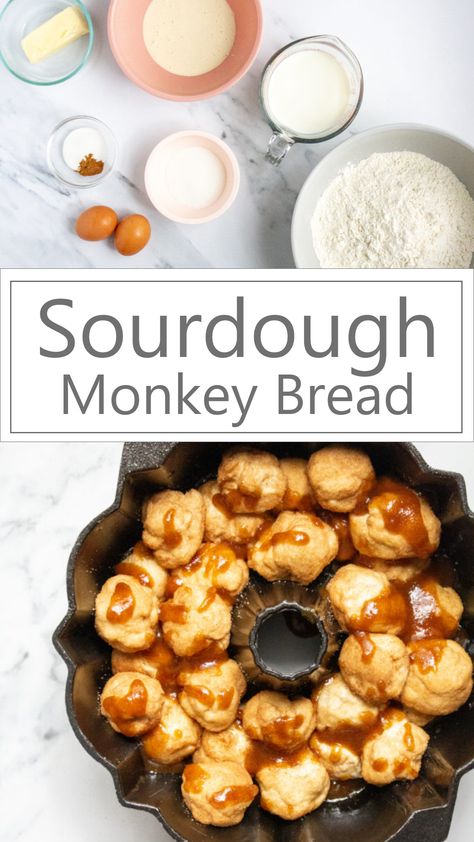 Sourdough Monkey Bread, Dough Starter Recipe, Recipe Using Sourdough Starter, Sourdough Bread Starter, Sourdough Starter Discard Recipe, Homemade Sourdough Bread, Bread Starter, Sourdough Starter Recipe, Sour Dough