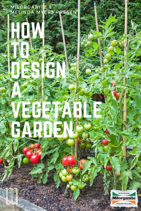 Interplanting Vegetables, Vegetable Planter Boxes, Veggie Garden Design, Veggie Garden Layout, Vegetable Garden Layout Design, Vegetable Garden Layout, Large Garden Planters, Garden Planning Layout, Garden Layout Vegetable