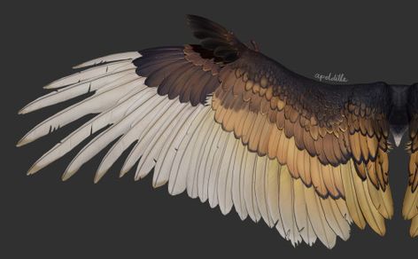 thought & memory Wing Anatomy, Quetzalcoatl Tattoo, Hawk Wings, Bird Person, Winged People, Zbrush Tutorial, Bird People, Wings Drawing, Wings Art