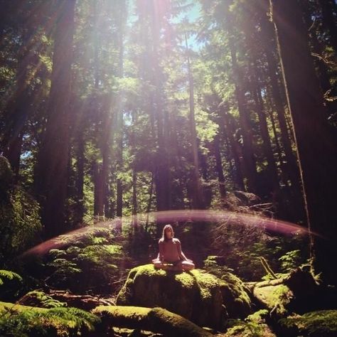 Mundo Hippie, Yoga Nature, Bowen Island, Beginner Yoga, Yoga Iyengar, Inspiring Photography, Hippie Life, Yoga Photography, Vinyasa Yoga