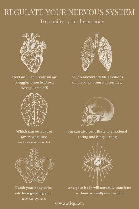 Nervous system regulation is a key element on your journey to food freedom, overcoming food cravings as well as emotional eating. Body image struggles and lack of emotional self-care can lead to a dysregulated nervous system and cause excess cortisol. Dysregulated Nervous System, Regulate Your Nervous System, Nervous System Regulation, Food Freedom, The Nervous System, Self Regulation, Sugar Cravings, Negative Self Talk, Self Talk