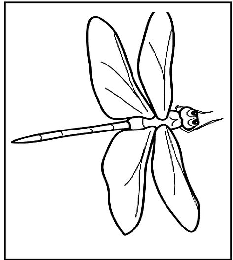 Dragonfly Coloring Pages, Stencil Free Printable, Insect Coloring Pages, Butterfly Stencil, Coloring Supplies, Bookmarks Kids, Dragonfly Art, Page Ideas, Coloring Pages To Print