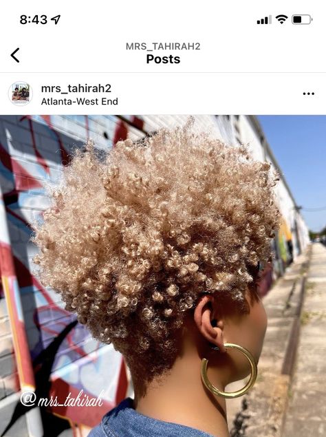 Twa With Undercut Natural Hair, Long Tapered Natural Hair, Blonde Tapered Haircut Black Women, Ash Blonde Afro, Ash Brown Natural Hair, Honey Blonde Twa Natural Hair, Blonde Afro Hair Black Women, Blonde Afro Hair, Tapered Fro