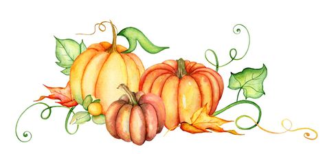 Watercolor pumpkin and autumn leaves. Harvest composition. Happy Thanksgiving day. Hand drawn illustration. On the white background vector illustration Watercolor Pumpkins Autumn, Autumn Composition, Pumpkin Cross Stitch Patterns, Pumpkin Cross Stitch, Autumn Watercolor, Pumpkin Images, Watercolor Cross Stitch, Pumpkin Vector, Watercolor Cross