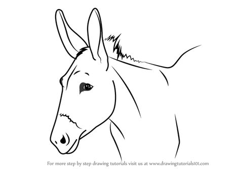 How to Draw a Donkey Face - DrawingTutorials101.com How To Draw A Donkey Face, Donkey Line Drawing, Donkey Head Drawing, Donkey Drawing Easy, Donkey Doodle, Donkey Tattoo, Donkey Face, Donkey Head, Donkey Drawing