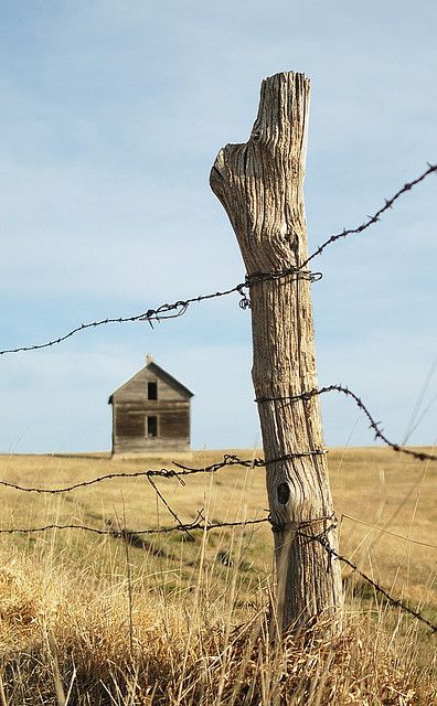 Painting A Fence, The Fence, Rustic Landscape, Barbed Wire Fence, How To Paint Barbed Wire, Cowboy Leaning On Fence, Fence Photography, Barbed Wire Fence Aesthetic, Barbed Wire Fencing