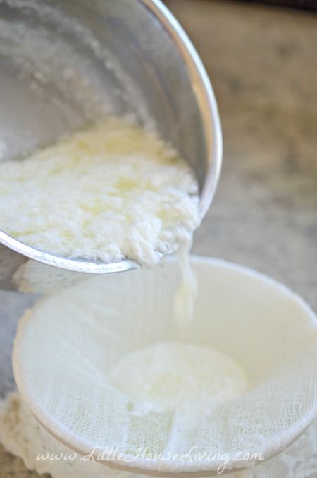 cheese4 Make Ricotta Cheese, Fresh Cheese Recipe, Ricotta Cheese Recipe, Holland Family, Homemade Ricotta Cheese, Cheese Ideas, Cheese Making Recipes, Ricotta Cheese Recipes, Fresh Ricotta