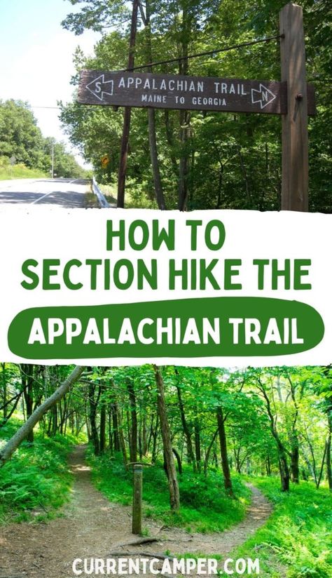 Section Hike Appalachian Trail, Appalachian Trail Section Hikes, Backpacking Appalachian Trail, Section Hiking The Appalachian Trail, Appalachian Trail Thru Hike, Nashville Hiking, Hiking Appalachian Trail, Appalachian Trail Georgia, Hiking Goals