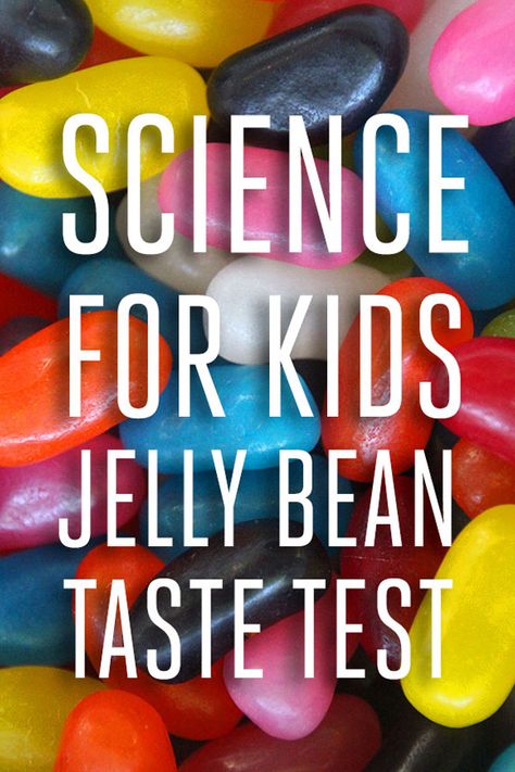 Jelly Bean Taste Test, March Stem, Sensory Science, Early Childhood Education Activities, Girl Parties, Experiments Kids, Stem Ideas, Kid Science, Simple Science