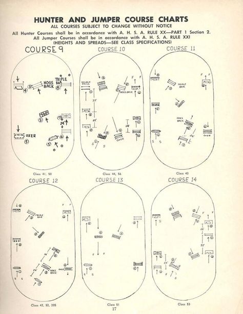 Hunter derby course 1 Jumping Courses, Hunter Course, Horse Jumping Exercises, Jumping Exercises, Dressage Exercises, Riding Exercises, Equestrian Jumping, Hunter Jumper Horses, Horse Training Exercises