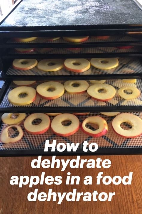 In this article I explain the easy steps to make your own tasty apple chips by dehydrating apples in an Excalibur Food dehydrator.   It is a great way to make your own snacks, and help you reduce food waste.  You can use the Excalibur food dehydrator to dehydrate other fruits, vegetables, herbs, spices, nuts and even meat, yogurt and cottage cheese!  If you're interested in learning to dehydrate food, check out this easy to follow how-to article. Thank you #dehydratedfood  #dehydrateapples Drying Apples Dehydrator, Dehydrating Apples In Dehydrator, Excalibur Dehydrator Recipes, Make Your Own Snacks, Dehydrate Apples, Dehydrating Apples, Canning Pressure Cooker, Excalibur Dehydrator, Pickled Foods