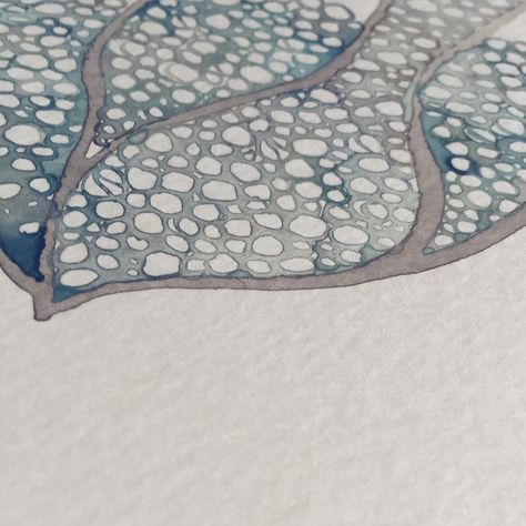 Shell Rummel on Instagram: “Just a glimpse... One of many WIP. Inspired by nature, always. #organic #abstractart #studio #inspiration #creativeprocess #watercolor…” Shell Rummel, Studio Inspiration, Inspired By Nature, Creative Process, Nature Inspiration, Abstract Art, Shells, On Instagram, Instagram