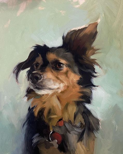 Jennifer Gennari on Instagram: “I'm sorry what? I can't hear you. Let me lift just one of my enormous fluffy floppy ears and you can say that again. Thanks 😉🥰 #allaprima…” Jennifer Gennari, Pet Portrait Paintings, Dog Portraits Painting, Dog Portraits Art, Singapore Art, Oil Painting Inspiration, Dachshund Art, Animal Portraits Art, 강아지 그림