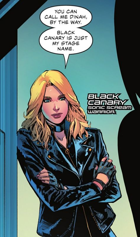 Dinah Lance, Dinah Laurel Lance, Superhero Comics, Black Canary, Gotham City, Sirens, Justice League, Gotham, Comic Art