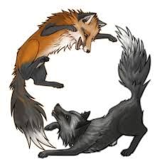 Fox And Wolf Drawing at PaintingValley.com | Explore collection of Fox And Wolf Drawing Fox And Wolf, Fox Animation, Fox Artwork, Cele Mai Drăguțe Animale, Kitsune Fox, Fox Drawing, Fox Tattoo, Wolf Drawing, Pet Fox