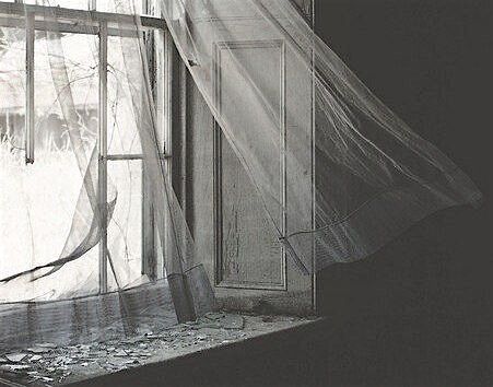 the last of us Shattered Dreams, Between Two Worlds, Southern Gothic, Gothic Aesthetic, Open Window, House On A Hill, Sheer Curtains, Narnia, Window Sill