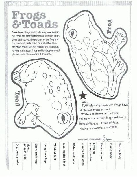 Frog And Toad Worksheets Worksheets For All Frog Unit Study, Frog Activities, Arnold Lobel, Montessori Science, Worksheet For Kindergarten, Frog Life, Frog Theme, Reading Street, Pond Life