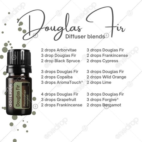 Doterra Douglas Fir Diffuser Blends, Douglas Fir Diffuser Blend, Douglas Fir Essential Oil Blends, Pseudotsuga Menziesii, Candle Recipes, Douglas Fir Tree, Terra Essential Oils, Eo Blends, Doterra Recipes