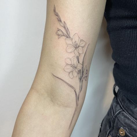 25 Incredible Gladiolus Tattoo Ideas to Inspire You in 2024 Gladiolus Tattoo Shoulder, Gladiolus Hip Tattoo, Gladiolus Rib Tattoo, Gladiolus Tattoo With Name, Gladiolus Flower Tattoo Small, Gladiolus Tattoo Simple, August Birth Flower Tattoo Gladioli, Gladiolas Tattoo, Gladiolus Flower Tattoo