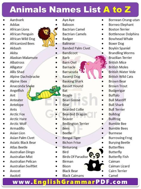 If there is any I missed pls comment Amazonian Manatee, Alpine Dachsbracke, Animals Name List, Forest Elephant, African Forest, Elephant African, English Grammar Pdf, Brazilian Terrier, Alpine Ibex