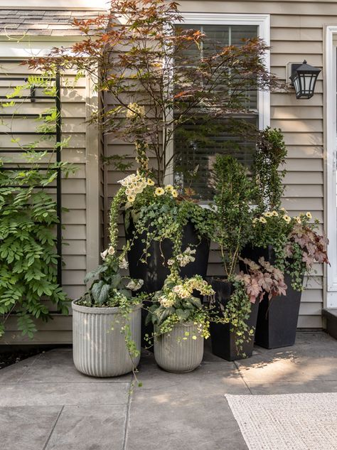 Today I want to show you how I took inexpensive flower pot planters from Wal-Mart and turned them into upscale faux concrete planters, without the hefty price tag! Supplies needed to make faux concrete planters: Resin Planters: I chose a 12-inch and 16-inch (terracotta colored here, white here, or silver here) Floor Tile Mortar Corded […] Planter Inspiration, Cheap Planters, Summer Planters, Planters Patio, Cheap Flower Pots, Planters Diy, Summer Planter, Pots Diy, Diy Concrete Planters