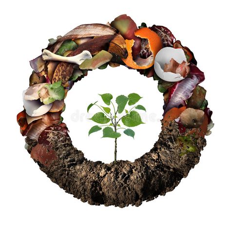 Composte Life Cycle Symbol. And a composting stage system concept as a pile of r #Sponsored , #sponsored, #AFFILIATE, #Cycle, #Composte, #concept, #Symbol Healthy Food Logo, Green Bin, Recycling Center, Food Scraps, Composting, Organic Fertilizer, Logo Food, Organic Matter, Cartoon Clip Art