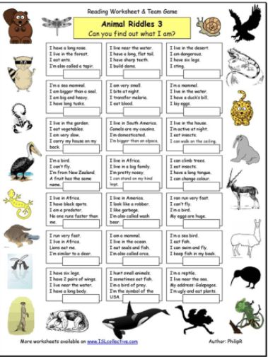 Animal Riddle Quiz Zoo Worksheets, Animal Expressions, Guess The Animal, Animal Riddles, Scavenger Hunt Riddles, Quizzes For Kids, Funny Animal Faces, Zoo Activities, Entertaining Kids