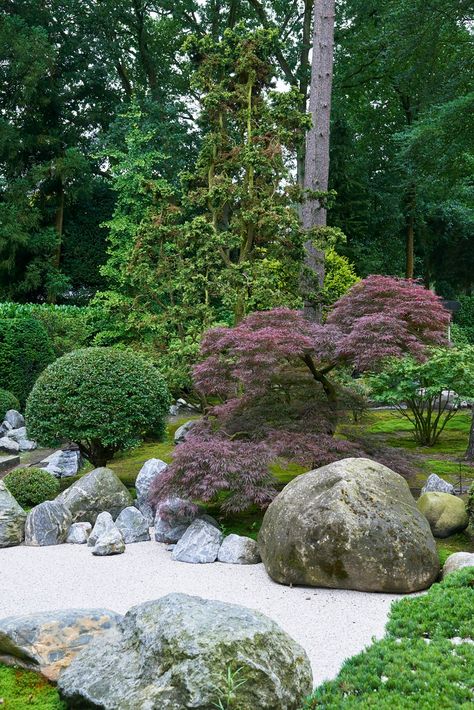 Japan Garden Design, Japanese Rock Garden, Japanese Style Garden, Japanese Garden Landscape, Zen Garden Design, Japan Garden, Landscaping Inspiration, Budget Garden, Japanese Garden Design