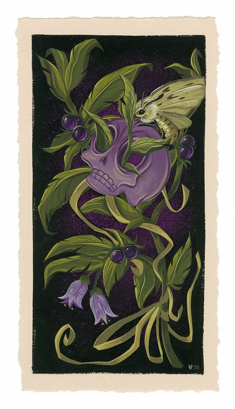 Belladonna Flower, Nightshade Flower, Nightshade Plant, Dance Macabre, Deadly Plants, Deadly Nightshade, Lotus Flower Art, Arches Watercolor Paper, Poisonous Plants