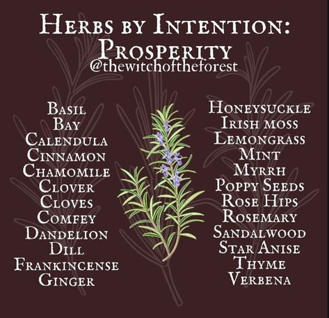 cr: insta @ thewitchoftheforest Herbs For Prosperity, Herbs Spells, Herbal Witch, Witchcraft Herbs, Witch Spells, Magickal Herbs, Witch Herbs, Green Witchcraft, Wiccan Magic