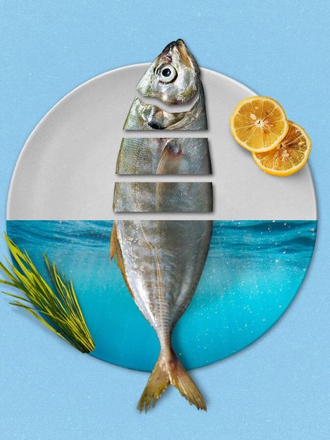 Fish Poster Design, Fish Posters, Photoshop Shortcut, Seafood Shop, Fish Poster, Fish Eyes, Food Mockup, Fish Restaurant, Pig Ears