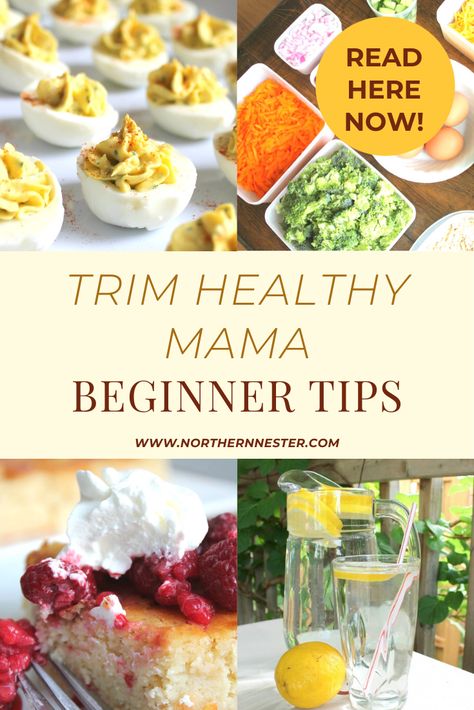 Trim Healthy Mama Sweets, S Meals Trim Healthy Mama, Trim Healthy Momma Beginner, Trim Healthy Mama S Meals, Trim Healthy Mama Freezer Meals, Thm Meal Plan For Beginners, Trim Healthy Mama Recipes Beginner, Trim Healthy Mama Beginner, Thm Crockpot