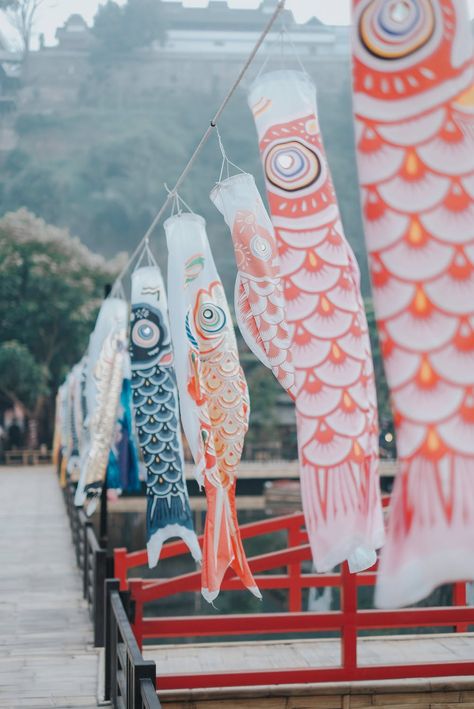 Assorted-colorful Fish Lanterns · Free Stock Photo Japanese Fish Lantern, Koi Fish Kite, Koi Fish Lantern, Chinese Fish Lantern, Paper Fish Lantern, Fish Lanterns Diy, Paper Lantern Fish, Fish Paper Lantern, Fish Kites